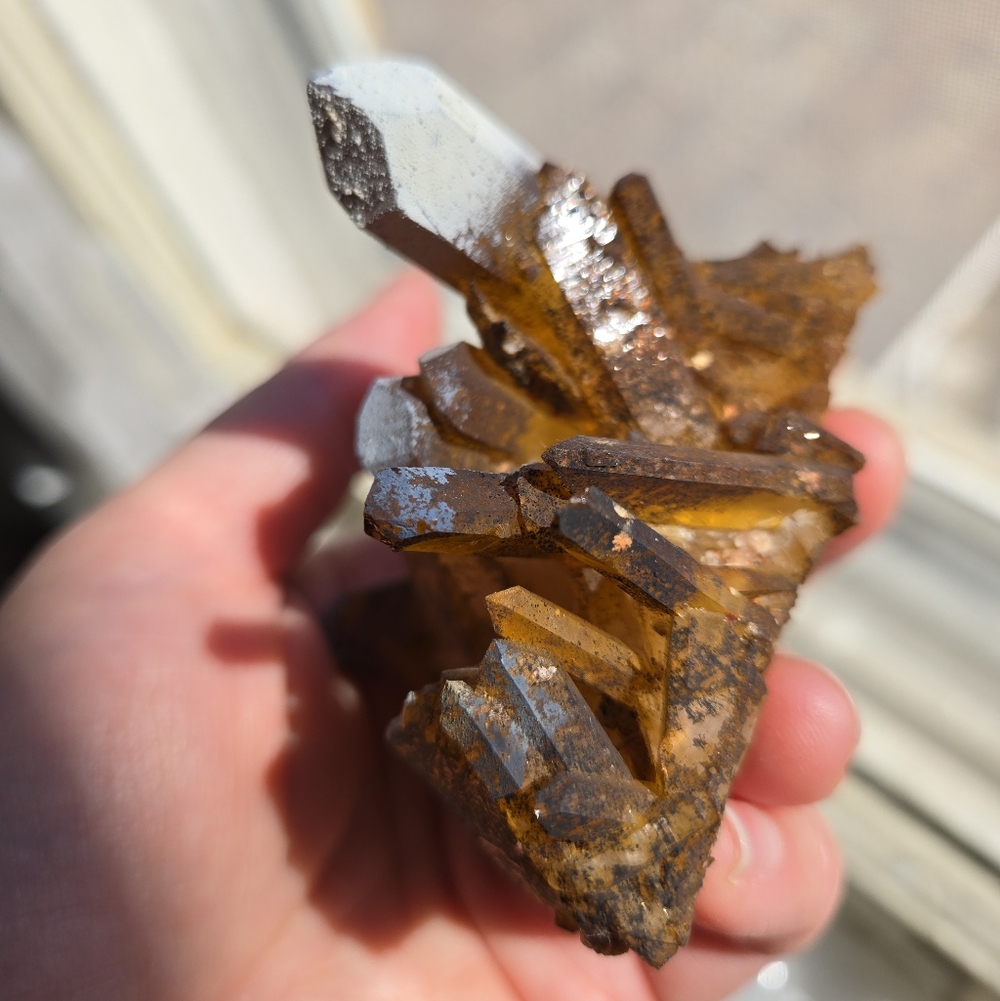Solaris Quartz Cluster - Picture 4 of 10